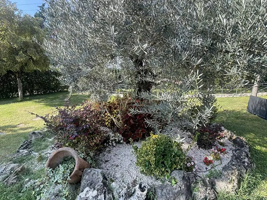 Immagine 37 di Locale commerciale in vendita  in via meringo alto a Ripi