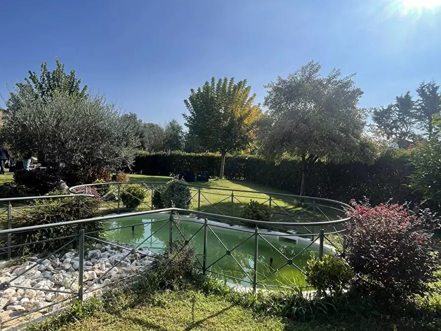 Immagine 14 di Locale commerciale in vendita  in via meringo alto a Ripi