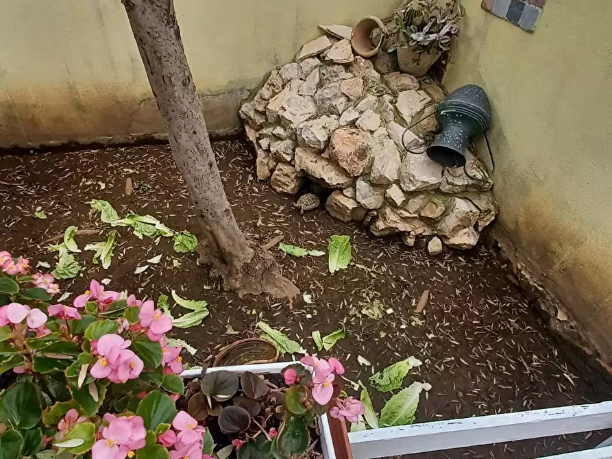 Immagine 34 di Villa in vendita  in Via Fantacchiotto a Latina