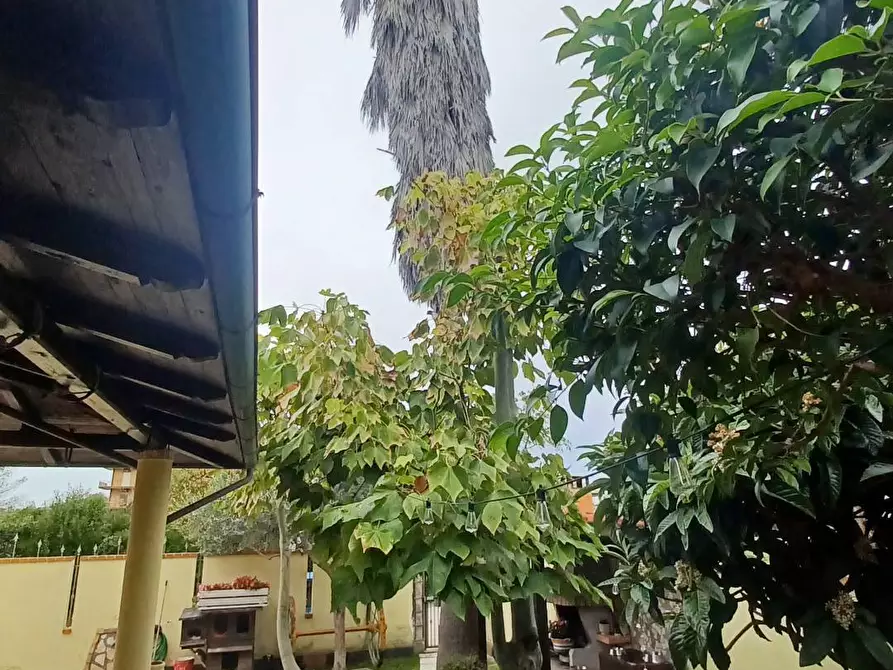 Immagine 35 di Villa in vendita  in Via Fantacchiotto a Latina