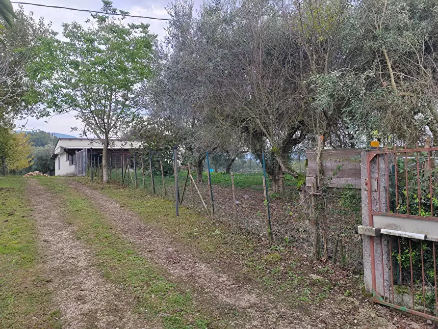Immagine 4 di Casa indipendente in vendita  in Via La Danna a Arnara