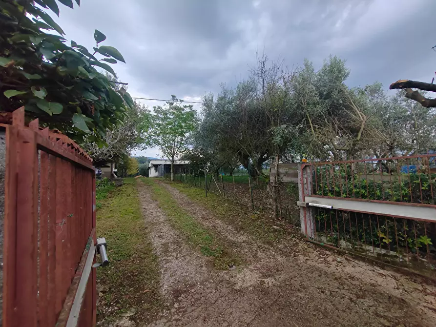 Immagine 5 di Casa indipendente in vendita  in Via La Danna a Arnara