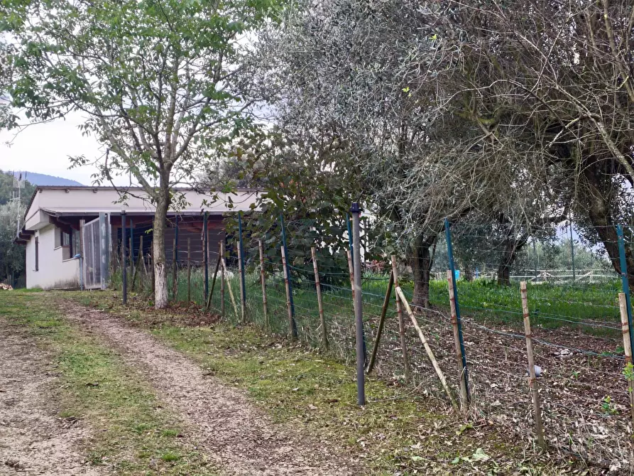 Immagine 6 di Casa indipendente in vendita  in Via La Danna a Arnara