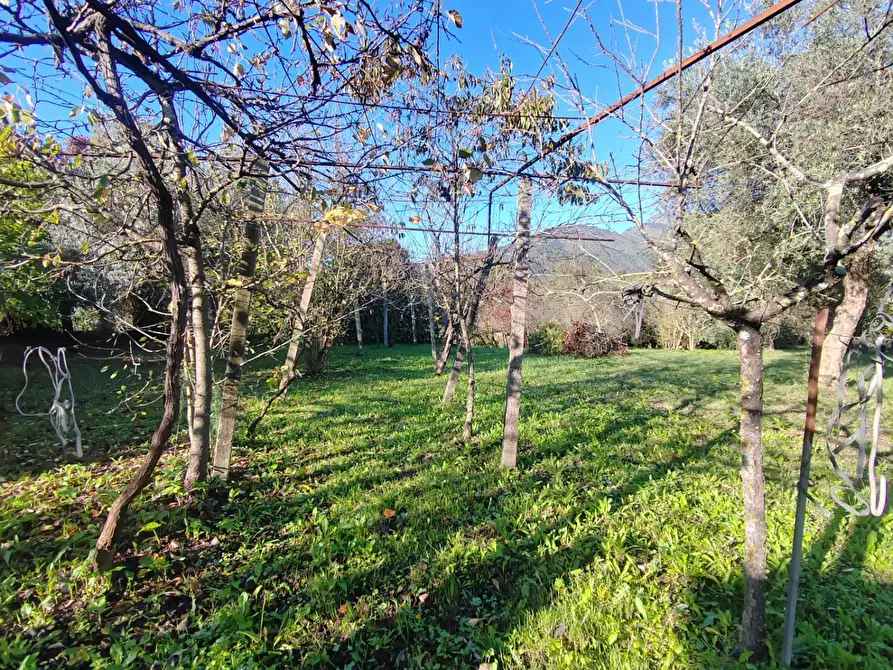 Immagine 12 di Casa indipendente in vendita  in Via Ponte Pisello a Bassiano