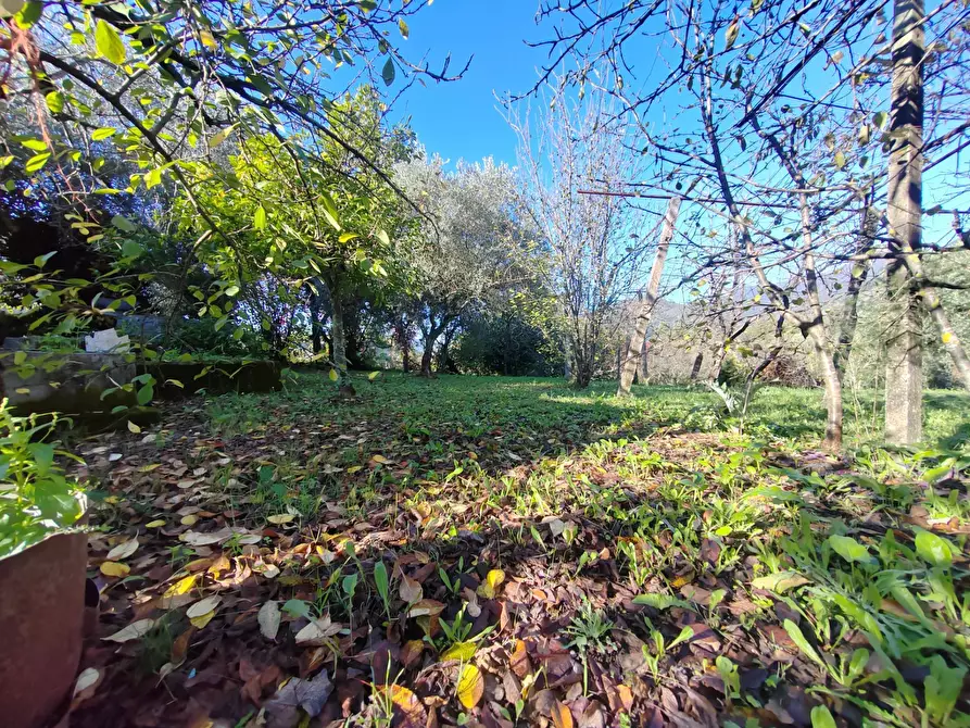 Immagine 15 di Casa indipendente in vendita  in Via Ponte Pisello a Bassiano