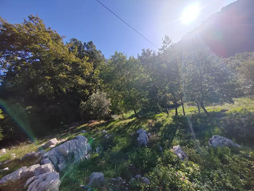 Immagine 16 di Casa indipendente in vendita  in Via Ponte Pisello a Bassiano