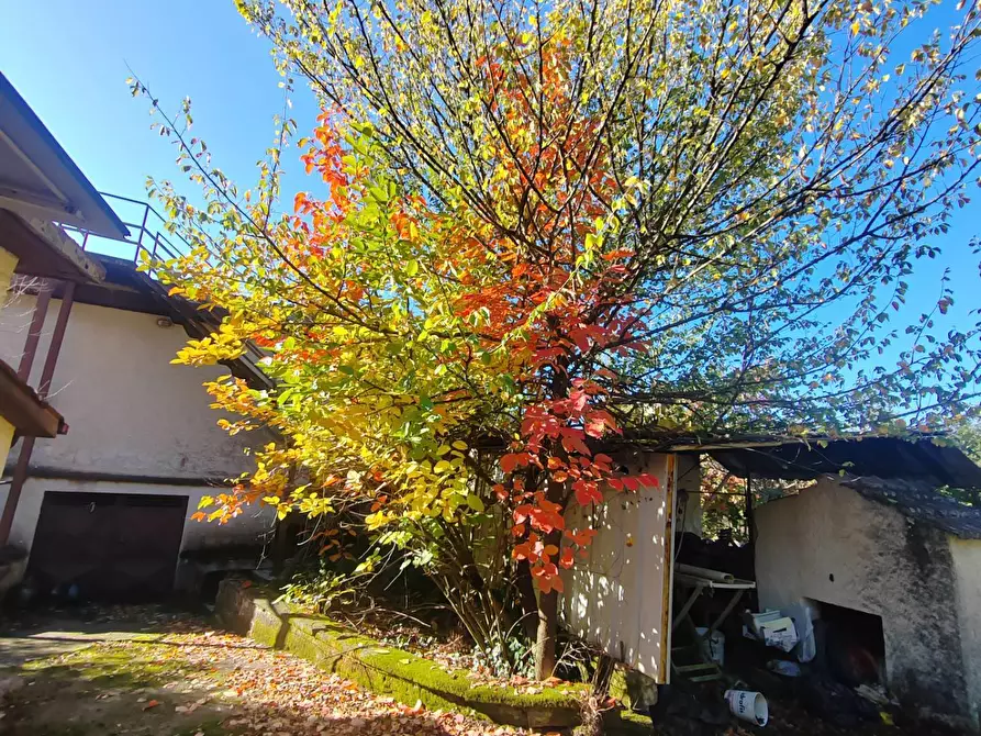 Immagine 22 di Casa indipendente in vendita  in Via Ponte Pisello a Bassiano