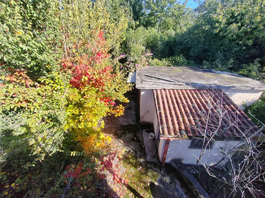 Immagine 31 di Casa indipendente in vendita  in Via Ponte Pisello a Bassiano