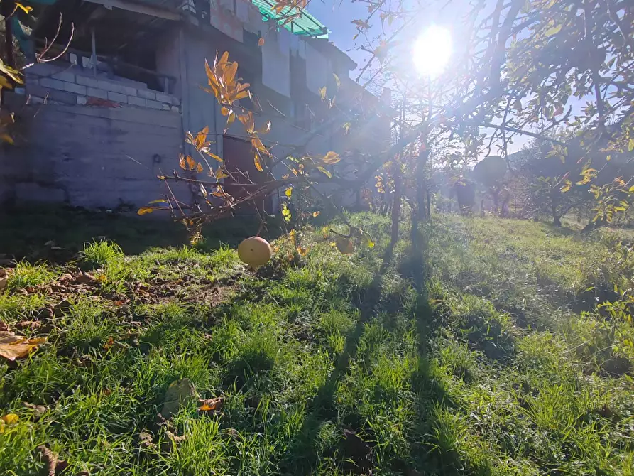 Immagine 23 di Casa semindipendente in vendita  a Carpineto Romano