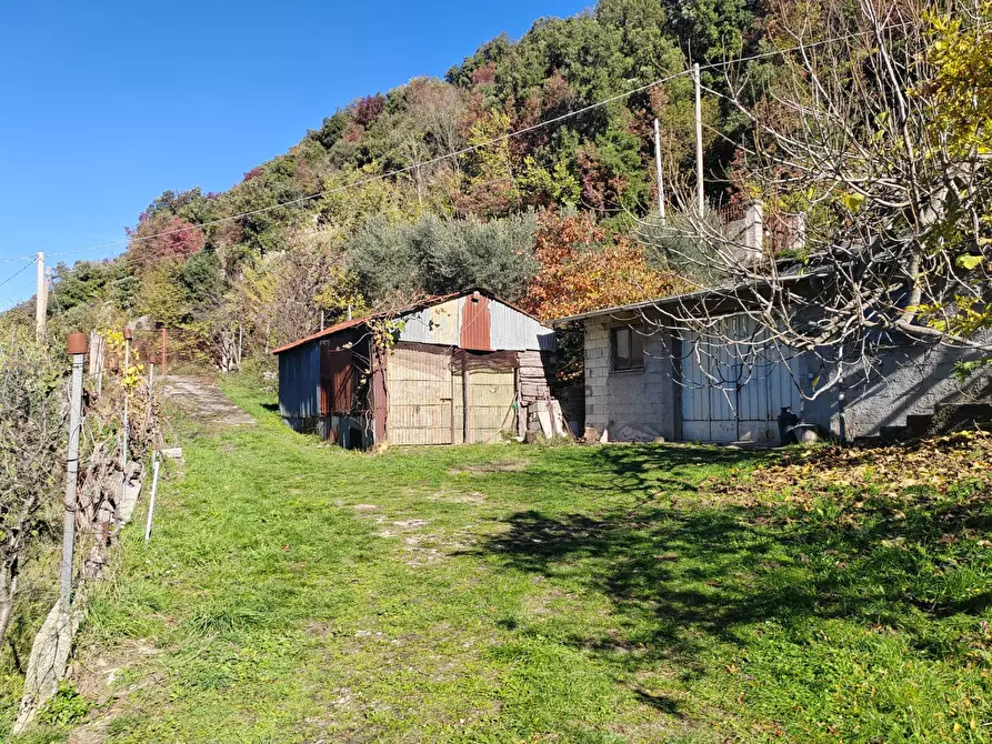 Immagine 27 di Casa semindipendente in vendita  a Carpineto Romano