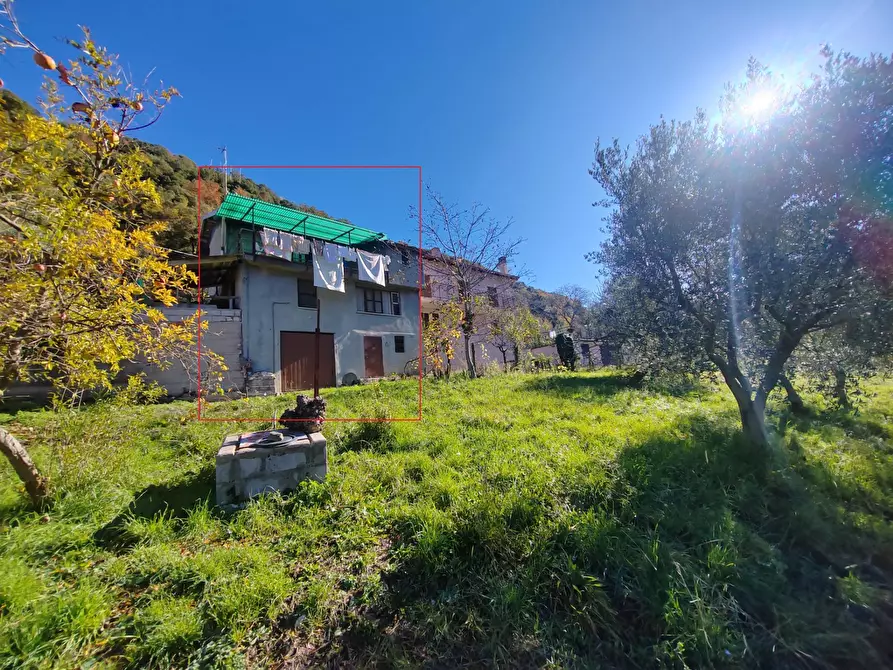 Immagine 12 di Casa semindipendente in vendita  a Carpineto Romano