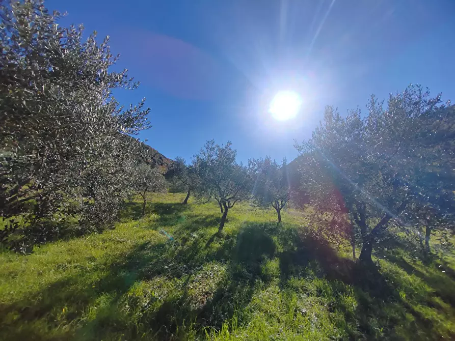 Immagine 28 di Casa semindipendente in vendita  a Carpineto Romano
