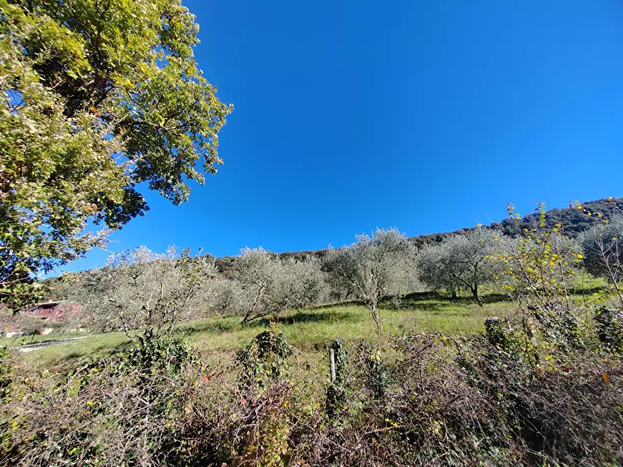 Immagine 32 di Casa semindipendente in vendita  a Carpineto Romano