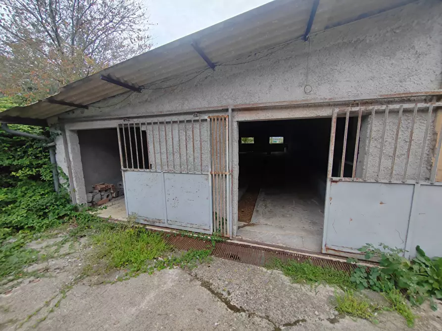 Immagine 4 di Magazzino in vendita  in via Colonne a San Giovanni Incarico