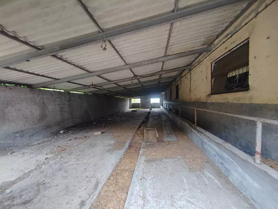 Immagine 11 di Magazzino in vendita  in via Colonne a San Giovanni Incarico