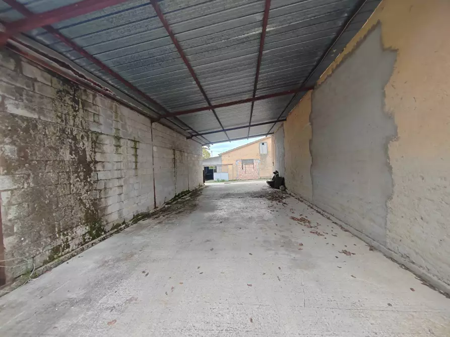 Immagine 13 di Magazzino in vendita  in via Colonne a San Giovanni Incarico