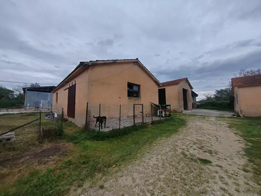 Immagine 8 di Magazzino in vendita  in via Colonne a San Giovanni Incarico