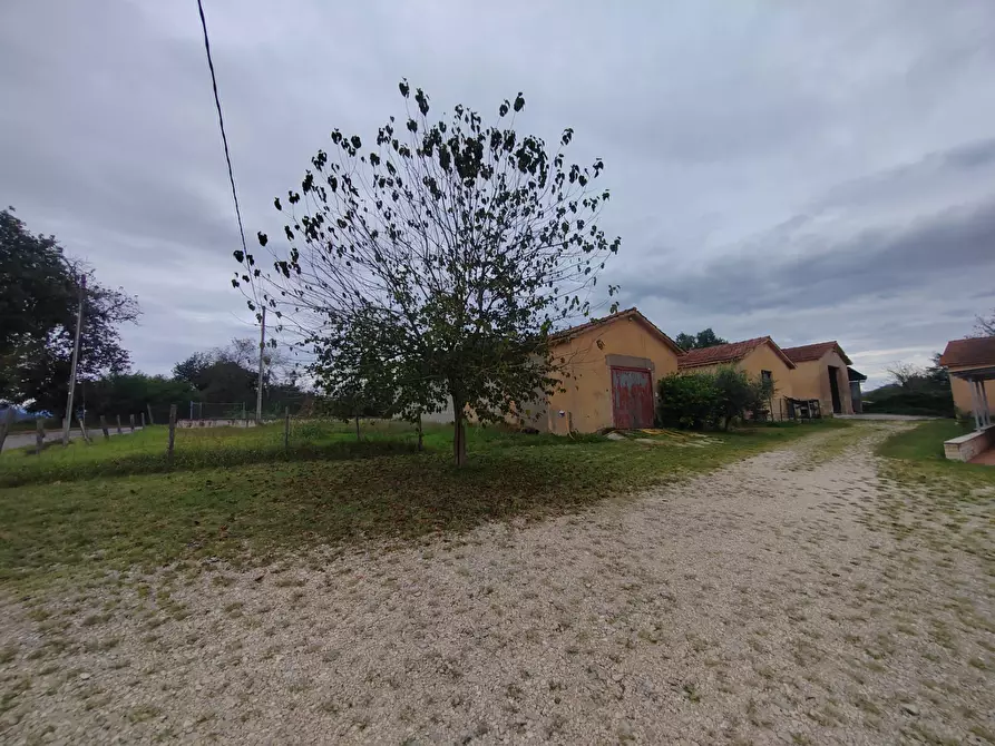 Immagine 10 di Magazzino in vendita  in via Colonne a San Giovanni Incarico