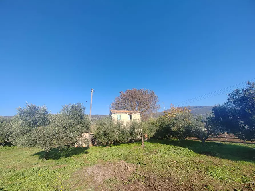 Immagine 2 di Rustico / casale in vendita  in Via Stradone Delle Grotte a Priverno