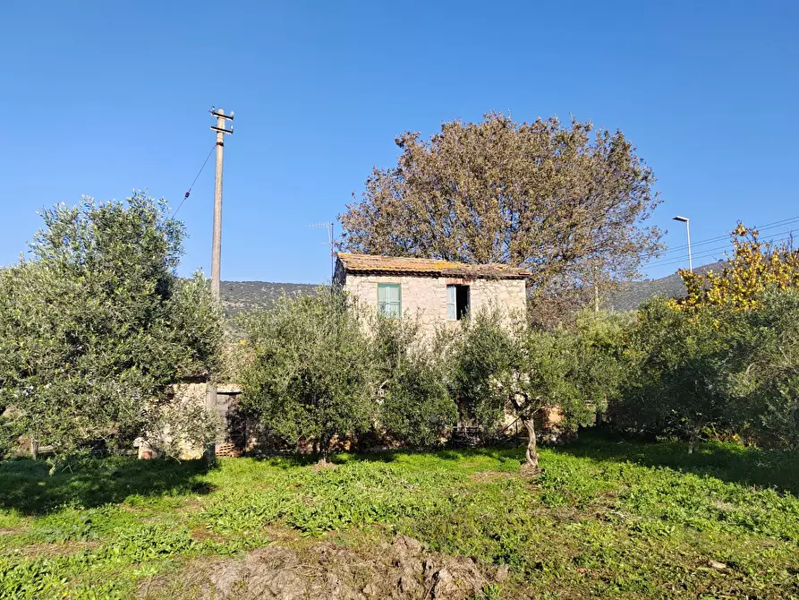 Immagine 4 di Rustico / casale in vendita  in Via Stradone Delle Grotte a Priverno