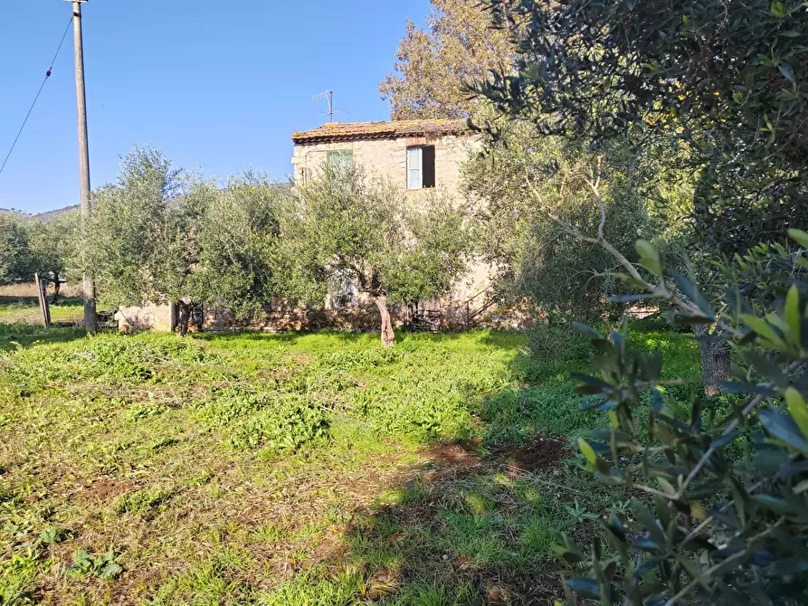 Immagine 5 di Rustico / casale in vendita  in Via Stradone Delle Grotte a Priverno