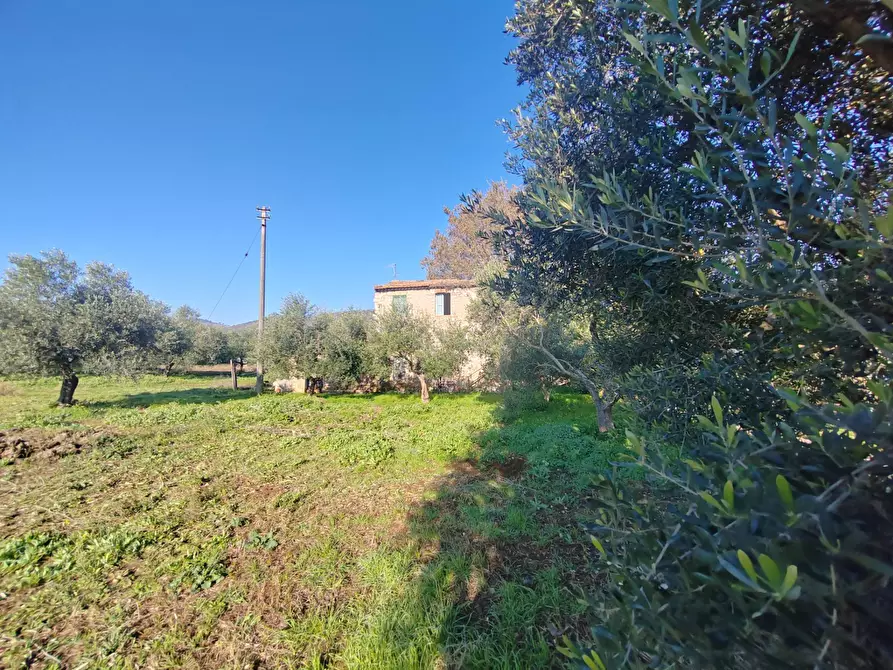 Immagine 6 di Rustico / casale in vendita  in Via Stradone Delle Grotte a Priverno