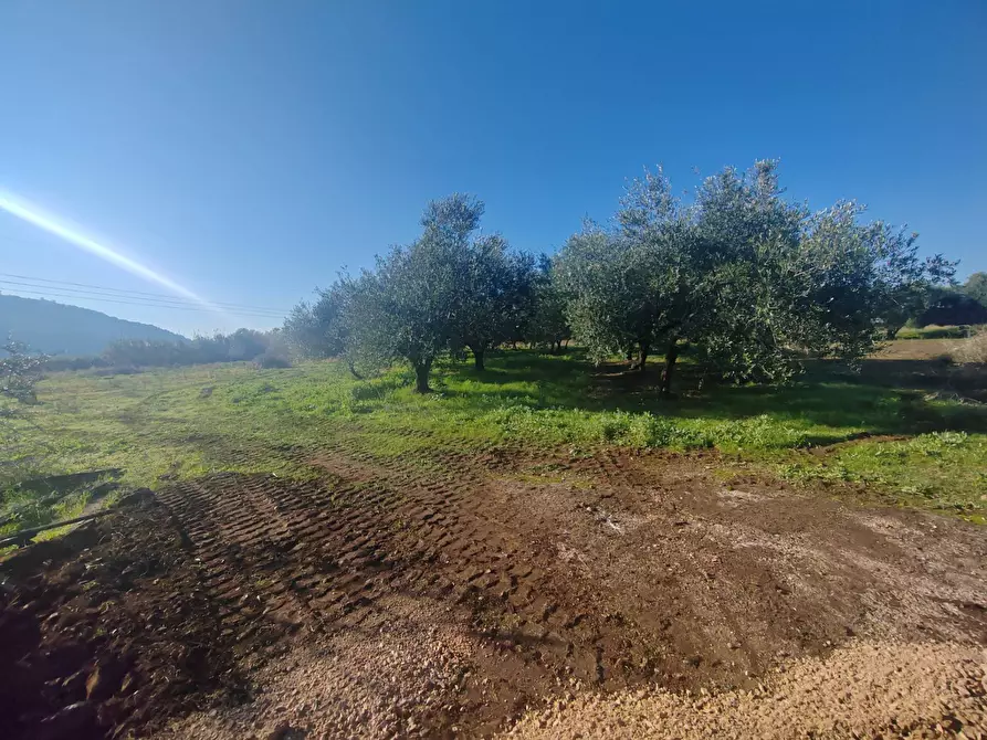 Immagine 9 di Rustico / casale in vendita  in Via Stradone Delle Grotte a Priverno
