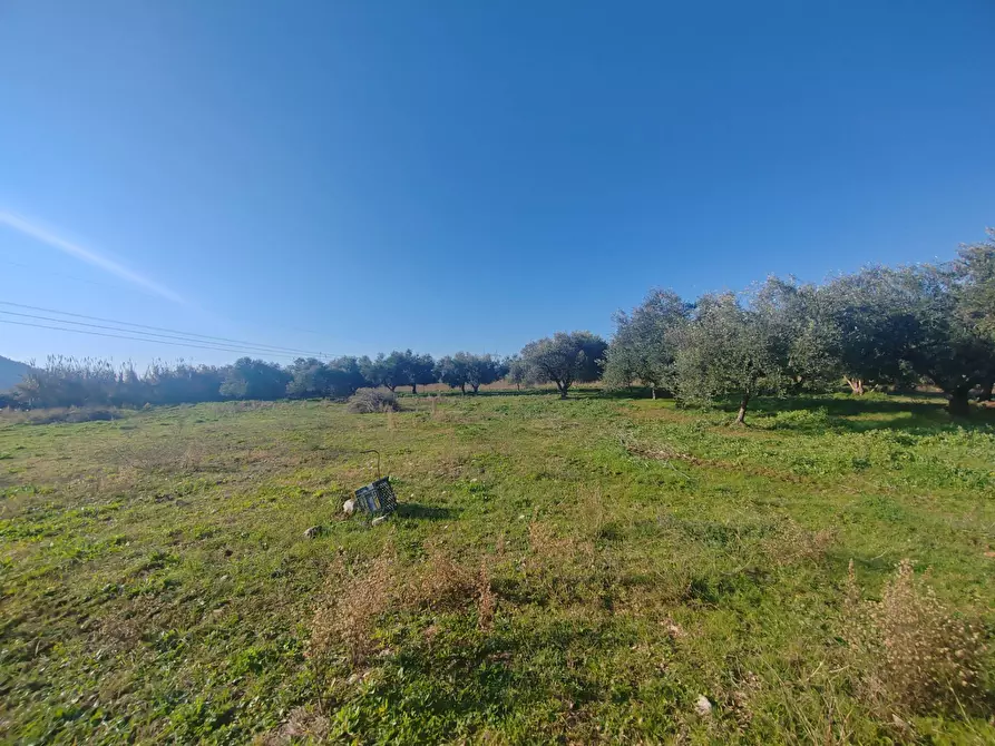 Immagine 16 di Rustico / casale in vendita  in Via Stradone Delle Grotte a Priverno