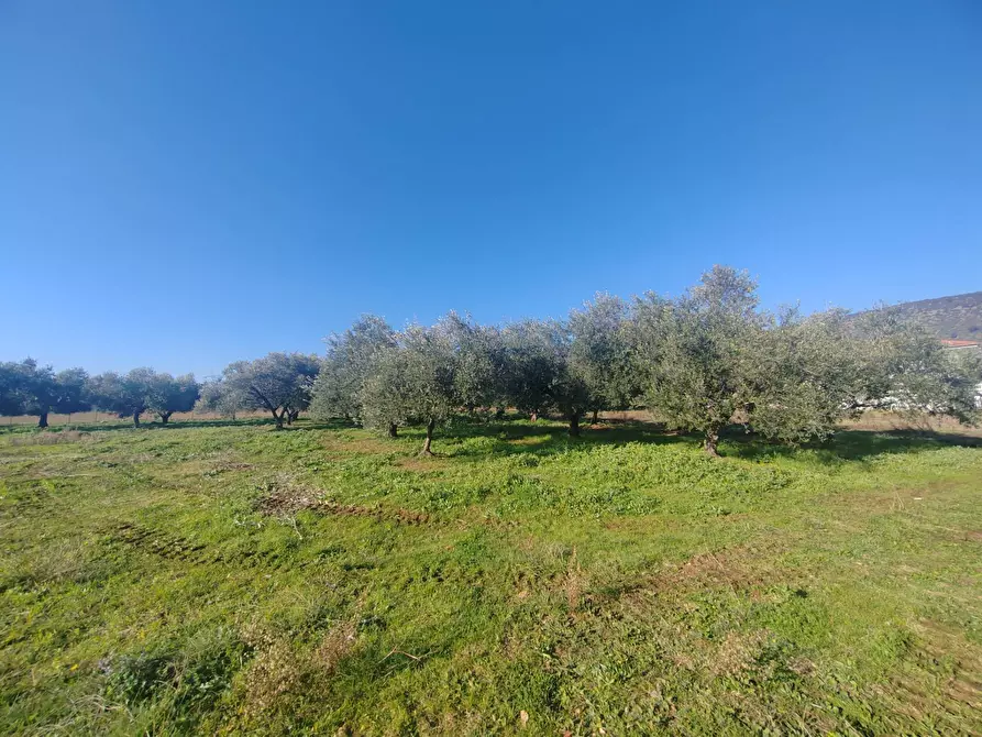 Immagine 17 di Rustico / casale in vendita  in Via Stradone Delle Grotte a Priverno