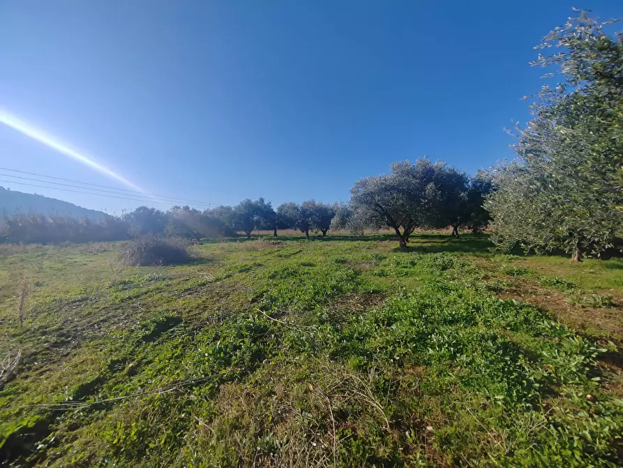 Immagine 19 di Rustico / casale in vendita  in Via Stradone Delle Grotte a Priverno