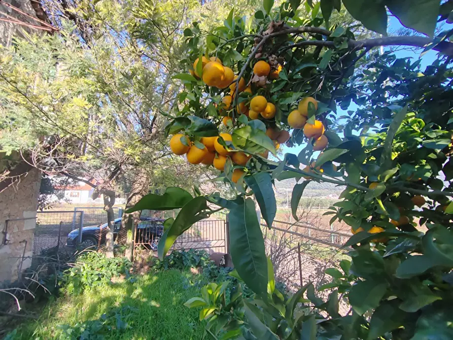 Immagine 22 di Rustico / casale in vendita  in Via Stradone Delle Grotte a Priverno