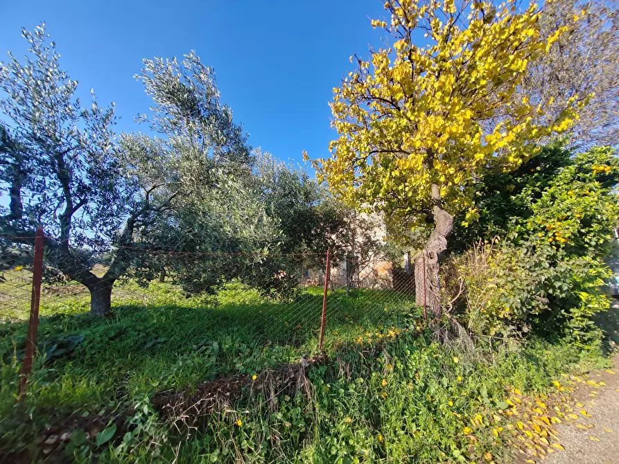 Immagine 25 di Rustico / casale in vendita  in Via Stradone Delle Grotte a Priverno