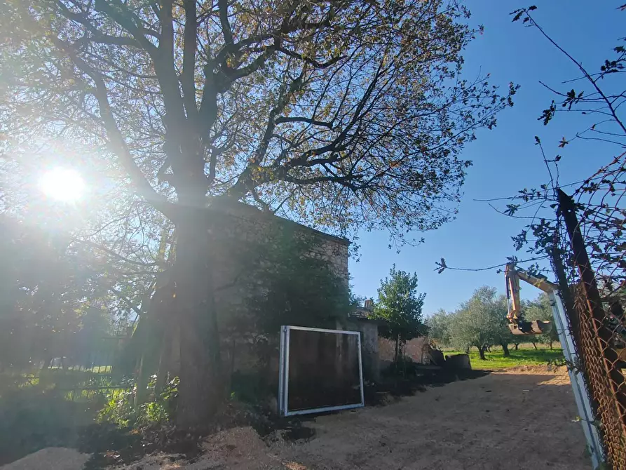 Immagine 26 di Rustico / casale in vendita  in Via Stradone Delle Grotte a Priverno