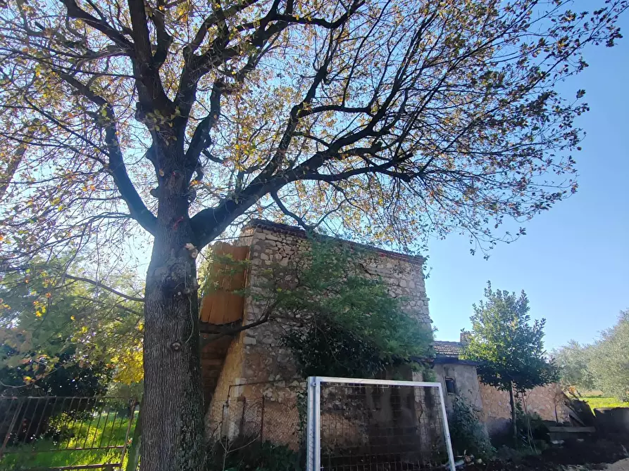 Immagine 27 di Rustico / casale in vendita  in Via Stradone Delle Grotte a Priverno