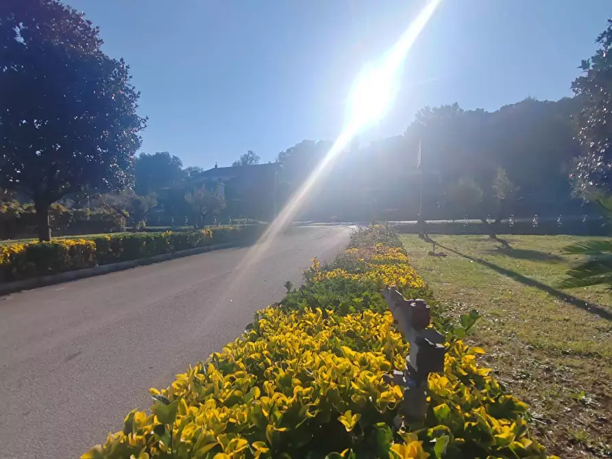 Immagine 11 di Appartamento in affitto  in via ceriara di priverno a Priverno