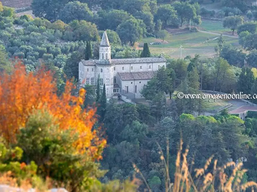 Immagine 5 di Appartamento in vendita  in Via Auricola 18 a Amaseno