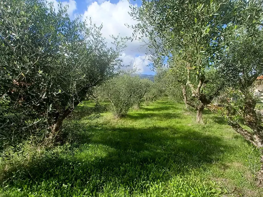 Immagine 1 di Terreno agricolo in vendita  in Carpinetana a Bassiano
