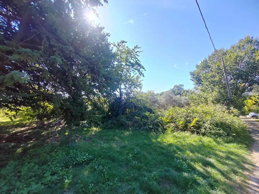 Immagine 8 di Terreno agricolo in vendita  in Via Fontana Fuori a Bassiano
