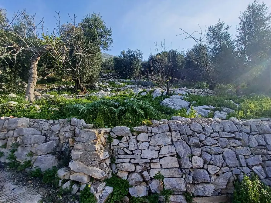 Immagine 15 di Casa indipendente in vendita  in Camminate di Sotto a Bassiano