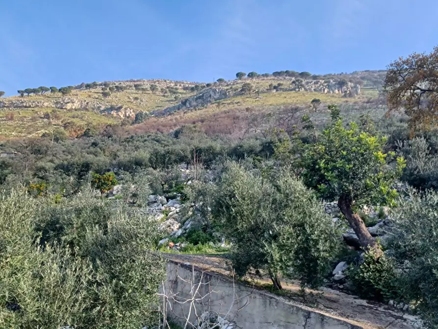 Immagine 19 di Casa indipendente in vendita  in Camminate di Sotto a Bassiano