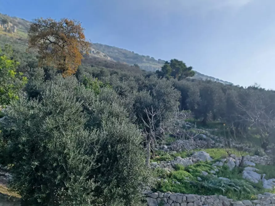 Immagine 20 di Casa indipendente in vendita  in Camminate di Sotto a Bassiano