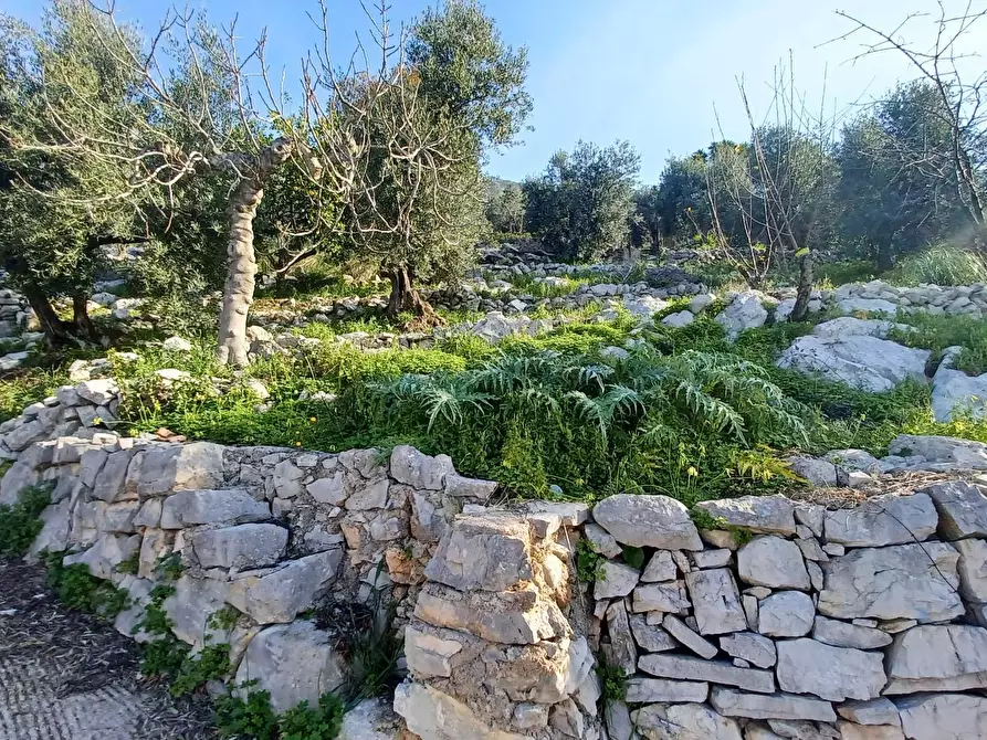 Immagine 26 di Casa indipendente in vendita  in Camminate di Sotto a Bassiano