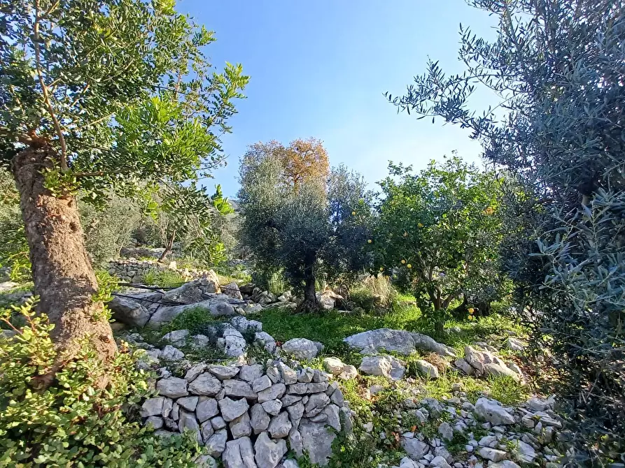 Immagine 27 di Casa indipendente in vendita  in Camminate di Sotto a Bassiano