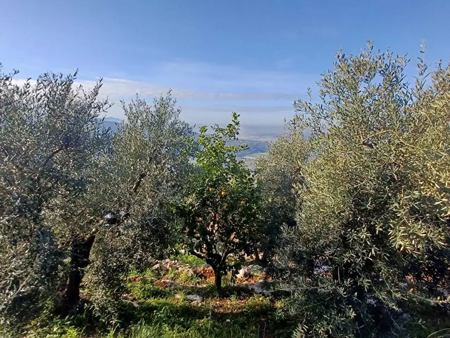 Immagine 29 di Casa indipendente in vendita  in Camminate di Sotto a Bassiano