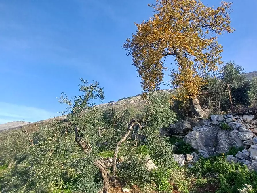 Immagine 31 di Casa indipendente in vendita  in Camminate di Sotto a Bassiano