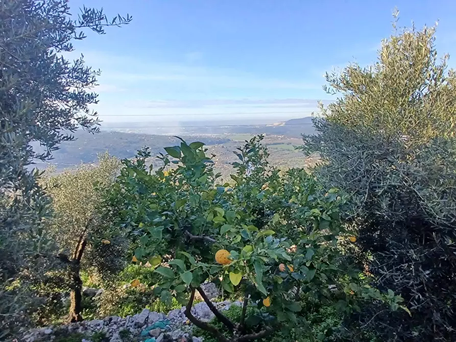 Immagine 32 di Casa indipendente in vendita  in Camminate di Sotto a Bassiano