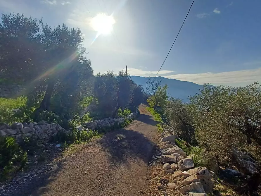 Immagine 36 di Casa indipendente in vendita  in Camminate di Sotto a Bassiano