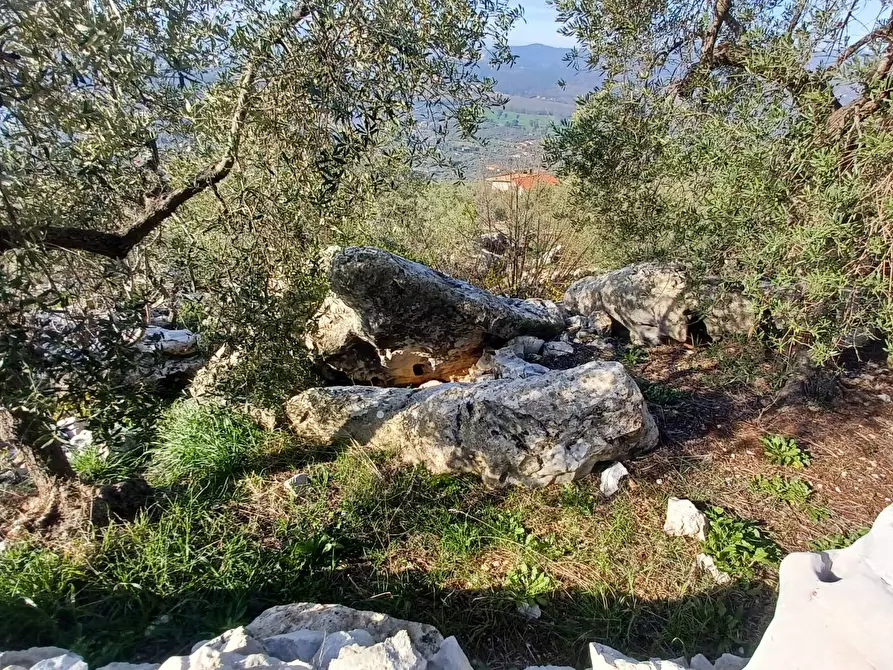 Immagine 37 di Casa indipendente in vendita  in Camminate di Sotto a Bassiano