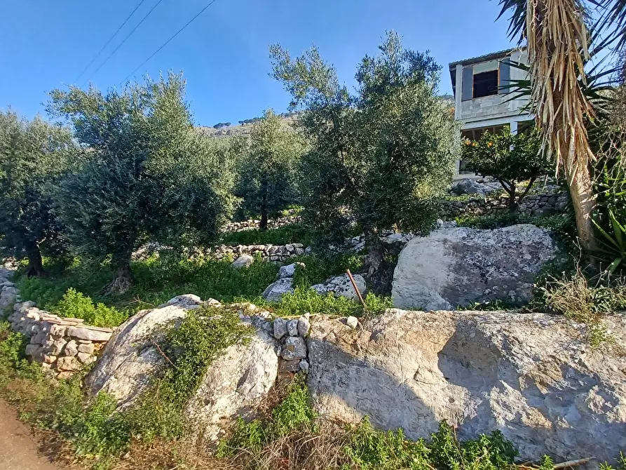 Immagine 39 di Casa indipendente in vendita  in Camminate di Sotto a Bassiano