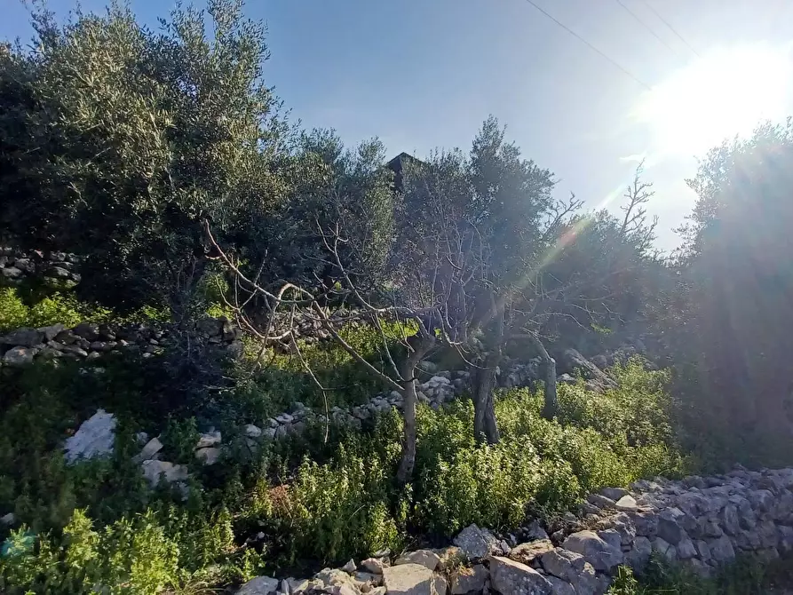 Immagine 40 di Casa indipendente in vendita  in Camminate di Sotto a Bassiano